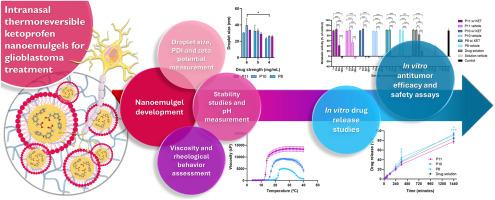 Development and characterization of novel intranasal in situ thermoreversible ketoprofen-loaded nanoemulgels for the treatment of glioblastoma