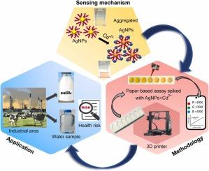 Smartphone-based colorimetric sensing of cadmium in milk for food safety monitoring
