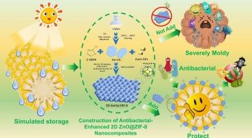 Construction of antibacterial-enhanced 2D ZnO@ZIF-8 nanocomposites based on synergistic antimicrobial mechanisms and application in maize long-term storage