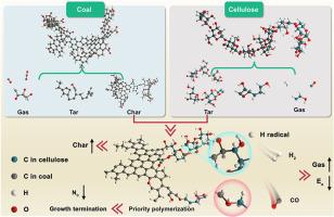 Molecular insights into the synergistic effect of co-pyrolysis of low-rank coal and cellulose: Atomic tracking and labeling, interaction mechanisms, and kinetics