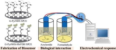 Green electrochemical biosensor for food safety monitoring of carcinogenic acrylamide and formaldehyde