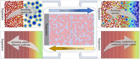 Synergistic enhancement of Li-ion and electron transport in thick electrodes via tailored microstructural gradients