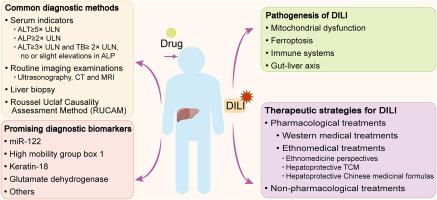 Review on clinical diagnosis, pathogenesis and therapeutic strategies of drug-induced liver injury