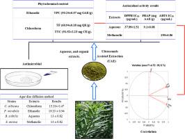 Phytochemical content, in vitro antioxidants and antimicrobial activities of Daphne gnidium L. leaves