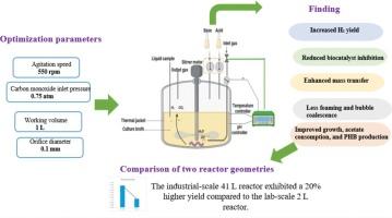 Biohydrogen production through the biological water gas shift reaction for sustainable energy: Prediction of the effect of key parameters