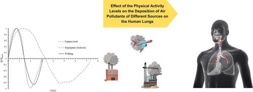 The impacts of physical activity levels on the deposition and transportation of air pollutants of different sources in the human lungs