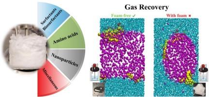 Advances in solidified methane and carbon dioxide storage: The potential of amino acids, biosurfactants, and nanoparticles as foam-free gas hydrate promoters