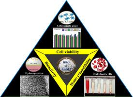 Tailoring structure and bioactivity of sol-gel derived borate glasses and glass-ceramics through calcination for tissue engineering