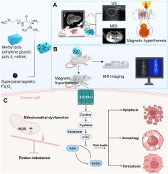 Injectable magnetic hydrogel induces multi-programmed cell death and deep tumor regression in magnetic hyperthermia therapy in hepatocellular carcinoma
