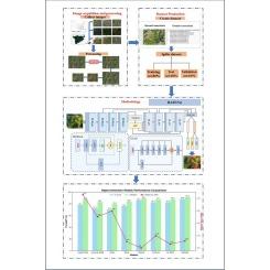 Hierarchical attention and feature enhancement network for multi-scale small targets in pine wilt disease