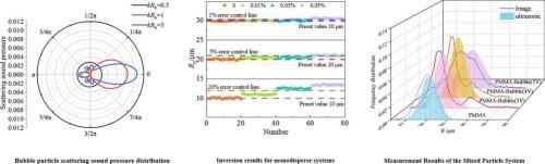 Bubble interference in ultrasonic PMMA particle sizing: Mechanisms and quantitative analysis