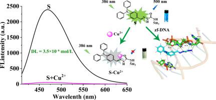 Synthesis of a triphenylamine-based “ON-OFF” type fluorescent probe: Cu2+ detection, DNA binding studies and theoretical calculations