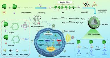 Cyclodextrin polyrotaxane based self oxygen supplying nanoparticles for enhancing the sonodynamic therapy mammary cancer performance with a “one-stone-two-birds” strategy