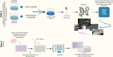 Synthesis and characterization of novel silver vanadate nanofibers and consideration of the effects on MCF-7 and HDF cell line
