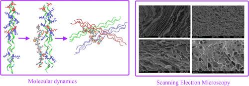 Molecular structure and interactions in carrageenan-gelatin complexes: A combined computational and experimental study