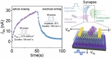 Ultrafast & low-power consumption 2D floating-gate devices for opto-electronic hybrid neural networks