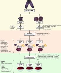 Naturally colored and functional powder formulation for dessert: flow properties, texture, stability, and bioactive compounds