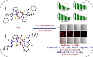 Synthesis, characterizations, and in vitro anticancer activity of di μ-acetato binuclear Zn(II) complexes with thiosemicarbazone ligands