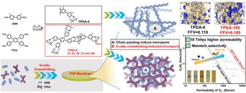 Porous organic polymer membranes derived from tetramine-based Tröger's base with simultaneously enhanced permeability and selectivity