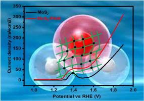 Hydrothermal fabrication and OER electrocatalytic evaluation of MoS2/PANI nanocomposite
