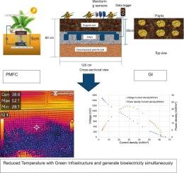 Integrating plant microbial fuel cells into green infrastructure: Tackling heat islands and powering sensors