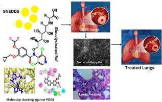 Novel mucoadhesive lysine based glycated self-nanoemulsifying drug delivery system for targeted delivery against respiratory infection