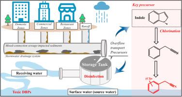 Storm-driven overflow disinfection highlights toxicity risk of chlorophenylacetonitriles: Unveiling indole in sewer sediments as a key precursor