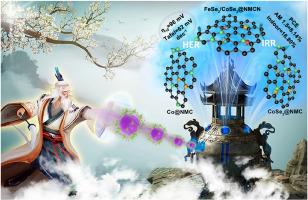 Hollow carbon nanoboxes with FeSe2/CoSe2 heterojunctions via MOF-on-MOF engineering for efficient energy conversion