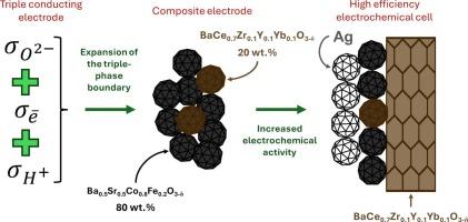 Optimization of Ba0.5Sr0.5Co0.8Fe0.2O3-δ-BaCe0.7Zr0.1Y0.1Yb0.1O3-δ composite electrodes: Influence of component ratio and current collector