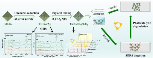 Dual-function UiO-66/AgNPs/TiO2 SERS substrate with photocatalytic self-cleaning for recyclable detection of thiram