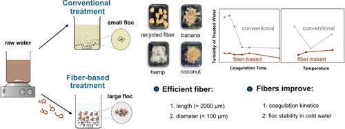 Impact of fiber properties on floc formation and turbidity removal
