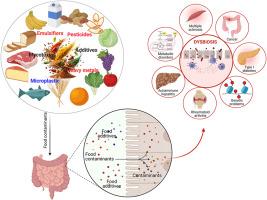 The potential influence of food additives and contaminants on the gut microbiota: A comprehensive review