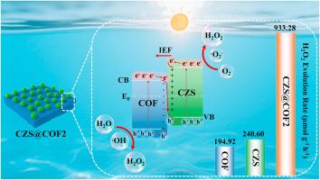 Constructing π-d interfacial conduction channels in COF-based S-scheme heterojunctions for efficient solar-to-H2O2 conversion