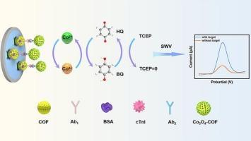 Cascade redox cycling amplification enabled by COF-confined Co3O4 for enhanced immunosensing