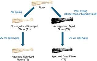Artificially light-aged, black-dyed harakeke fibres: Understanding the correlations between chemical composition and fibre properties using vibrational spectroscopy and chemometrics