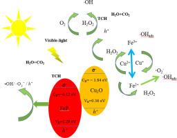 Enhanced photo-fenton degradation of tetracycline hydrochloride using type-II magnetic FeP/Cu2O heterojunction catalysts