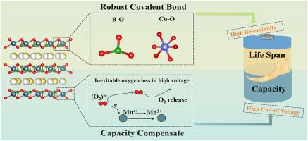 Complete solid-solution reaction and reversible anionic redox chemistry in sodium-ion batteries enabled by local structure regulation and charge compensation