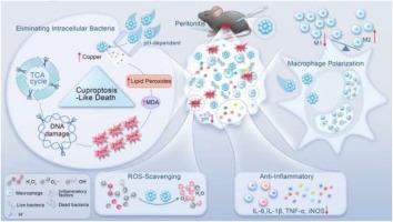 Vitamin C–functionalized copper nanozymes for treating drug-resistant intracellular infections and hyperinflammation