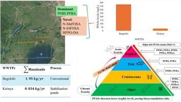 Novel and legacy per- and poly-fluoroalkyl substances in major wastewater treatment plants within the Lake Victoria basin, East Africa