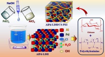 Design and optimization of chitosan–polyethylenimine encapsulated aluminum–palladium layered double hydroxide for efficient paraquat herbicide adsorption via Box–Behnken approach