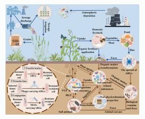 Interactions between antibiotic resistance genes and soil environmental factors: Coupling, antagonism, and synergism