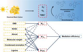Phototransformation of benzodiazepines in water mediated by dissolved black carbon: Mechanisms and the structure-reactivity relationship