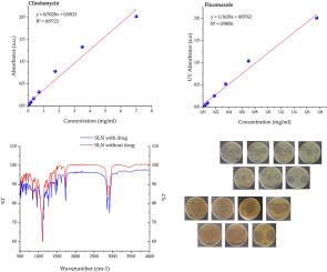 Dual-drug nanocarriers: Solid lipid nanoparticles and niosomes for enhanced denture disease treatment