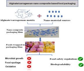 Bioactive alginate and carrageenan nanocomposite packaging: a review of recent insights on fabrication techniques, applications and environmental concerns