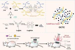 Hydrogels with TA/Cu2+ release and NIR-II photothermal synergistic antibacterial and antioxidant properties for healing of bacterial-infected wounds