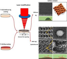 Formation of hierarchical micro/nanostructures of Ag/sodium titanate on grade 2 titanium via hybrid laser/hydrothermal processing