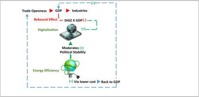 Unlocking energy efficiency through digital platforms: Implications for sustainable energy transition