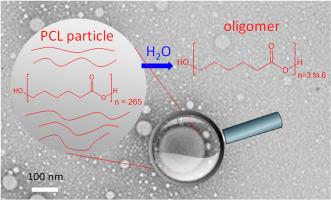 Quantitative HPLC–mass spectrometry analysis shows the drastic impact of the composition of aqueous and biochemical media on the release of soluble hydrolysis products from submicron polycaprolactone