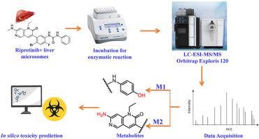 Metabolite identification of ripretinib by UPLC-ESI-MS/MS: in silico prediction, in vitro metabolism, and stability assessment