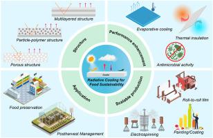 Multifunctional radiative cooling materials: A transformative pathway for zero-energy food preservation and postharvest management